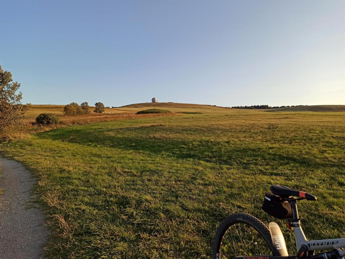 Ziegelhof *